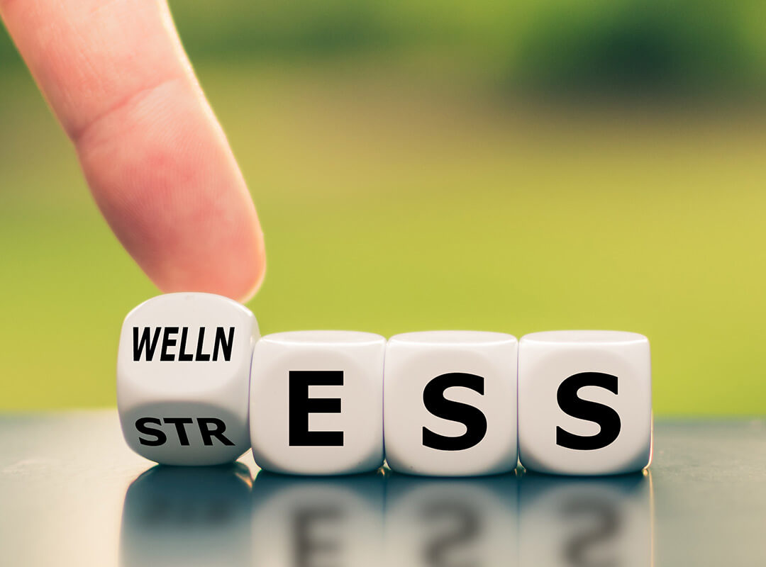 Set of word dice showing the words Wellness and Stress.